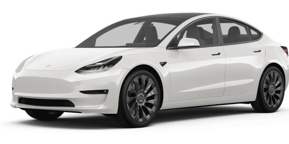 TESLA MODEL 3 2023 5YJ3E1EA9PF404920 image